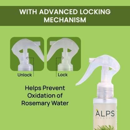 Rosemary Water, Hair Spray™| For Best Hair Regrowth (Pack of 3)